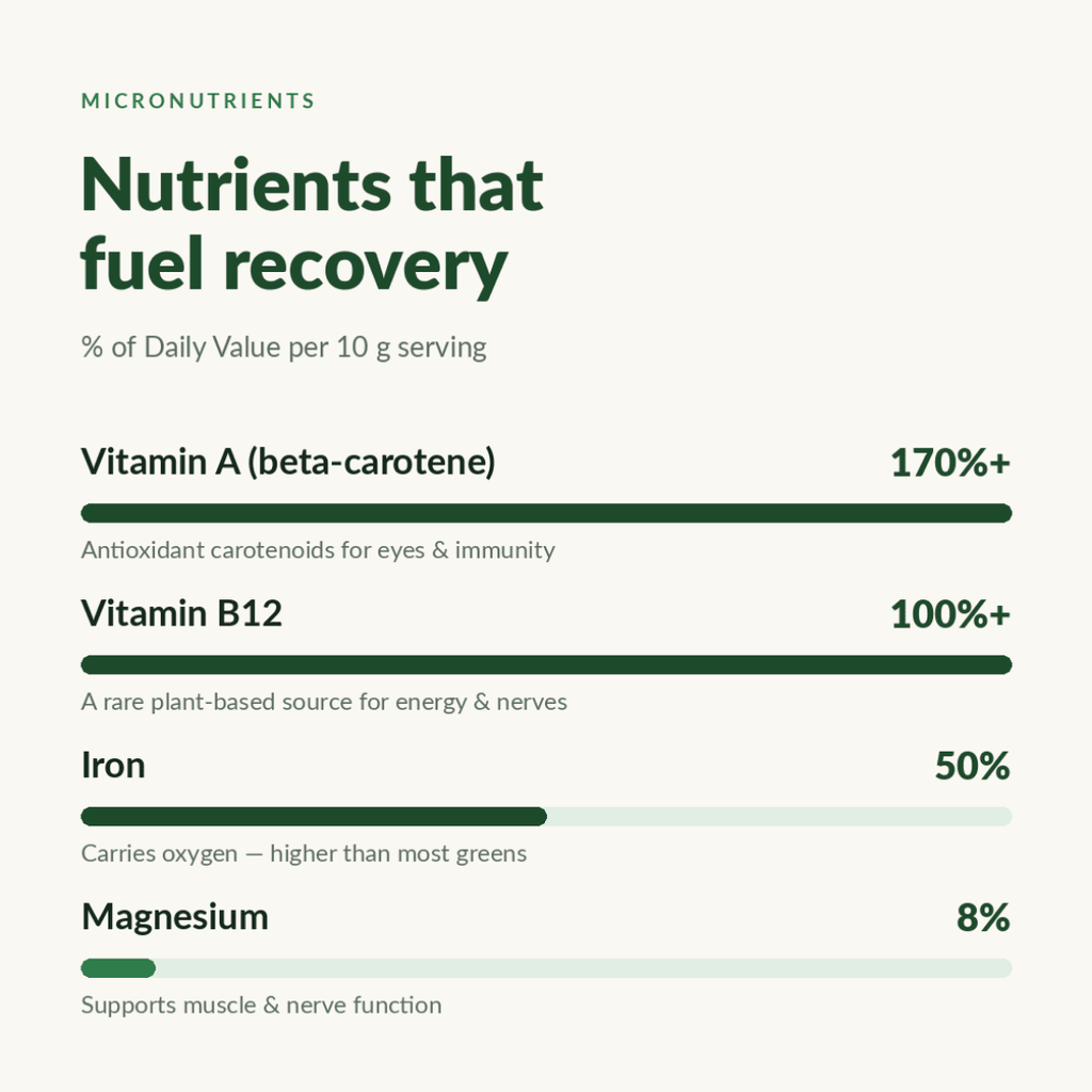 RECOVERYbits® Chlorella | Large Bag